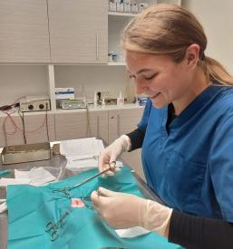 Dober veterinar Goriška