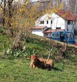 Kvalitetne strojne usluge Savinjska