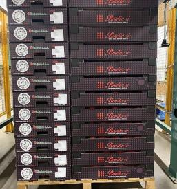 Veleprodaja jabolk Slovenija