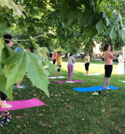 Joga program Slovenija