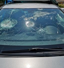 Ugodna montaža avtostekel Slovenija