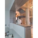 MAČJI SVET, nadstandardni hotel za muce Irena Požlep s.p.