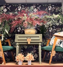 Trgovina s starinskimi izdelki Novo mesto