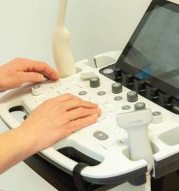 Svetovanje o dietnem prehranjevanju Slovenija