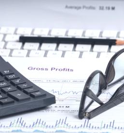 Dober računovodski servis Ptuj