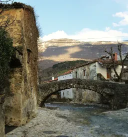 Članstvo v Turističnem Podnanos, Goriška