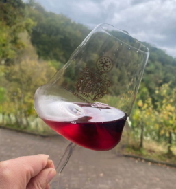 domača vina Slovenija