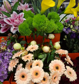 Brezplačna dostava cvetja Ljubljana, Črnuče