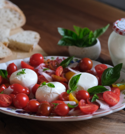 Slovenska mozzarella Ljubljana