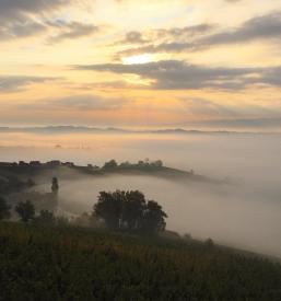 Slovenska domača vina Slovenija