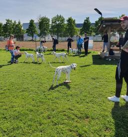 Dobra pasja šola Ljubljana