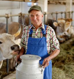 Koroški kmečki turizem