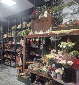 Vintage trgovina Novo mesto