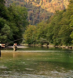 Turistični ponudnik Bohinj