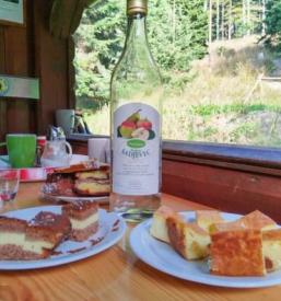 Koča Zavetišče gorske straže na Jelencih