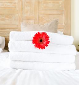 Najem hiše Dol pri Hrastniku