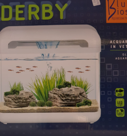 Akvariji v trgovini za male živali Gorenjska