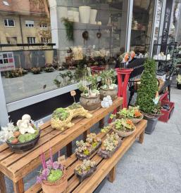 Darila za vsako priložnost