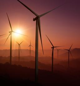 Ocene podnebne ranljivosti Ljubljana