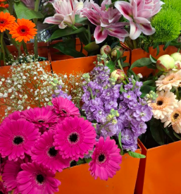 Brezplačna dostava cvetja Domžale, Trzin