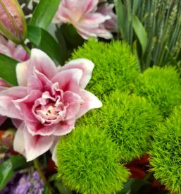 Dostava cvetja Ljubljana, Črnuče, Domžale, Trzin