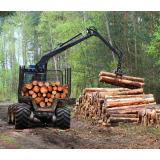 Gozdarske storitve Prunus