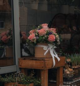 Vintage trgovinica Novo mesto