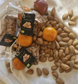 Mandlji Slovenska Istra