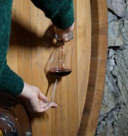 Organizirane degustacije