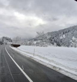 Ugodni Kombi in kamionski prevozi Bela krajina