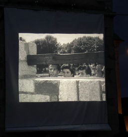 Zbirka muzeja Podnanos, Goriška