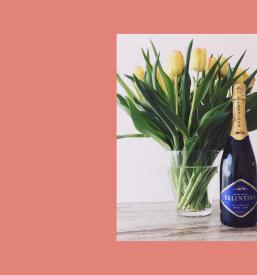 Degustacije vin Posavje, Slovenija