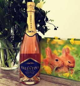 Degustacije vrhunskega vina Posavje