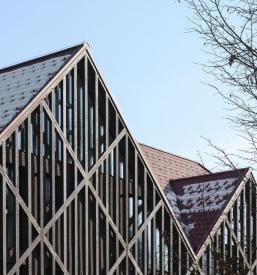 Ogled lesenih oken in vrat Žiri