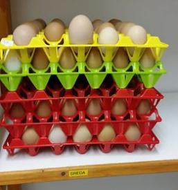 Jajcemat v Ljubljani