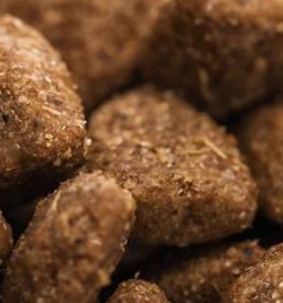 Production and sale of BIO extracts