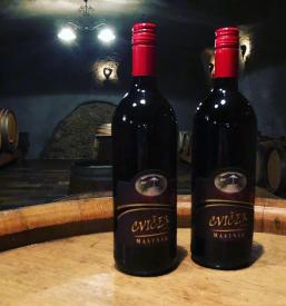 Vrhunske penine in buteljčna vina Posavje, Slovenija