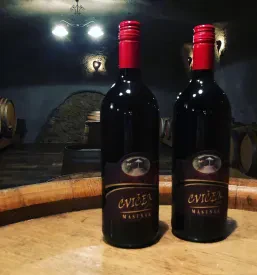 Vrhunske penine in buteljčna vina Posavje, Slovenija