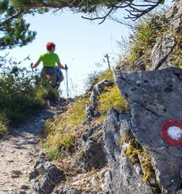 Studio Lake Bled, Gorenjska
