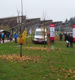 Šola atletike Pomurje