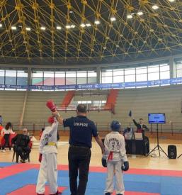 Taekwondo vadba Radovljica