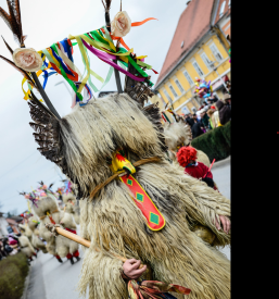 Turistični, športni in kulturni dogodki Štajerska