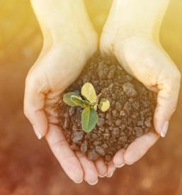 Presoje vpliva na okolje in meritve Ljubljana, Slovenija