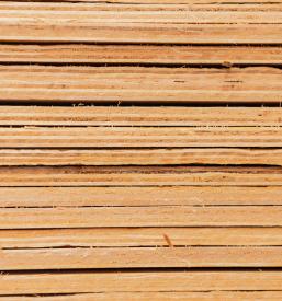 Prodaja lesa Slovenija