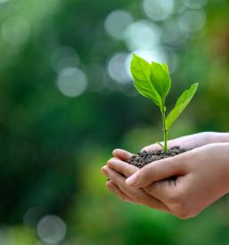 Izobraževanje za zaposljivost Murska Sobota