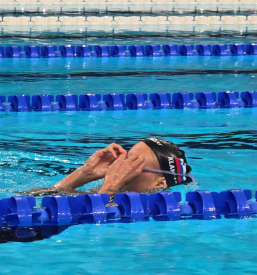 Plavalna šola Ljubljana