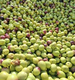 Ekstra deviško oljčno olje