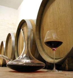 vrhunska vina Slovenija