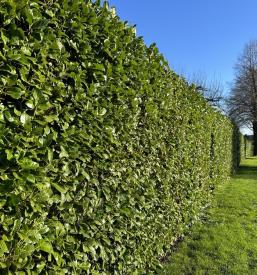 Kvalitetno vzdrževanje objektov Gorenjska