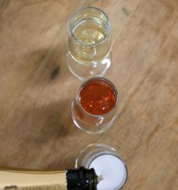 Pokušina vin Šentjernej